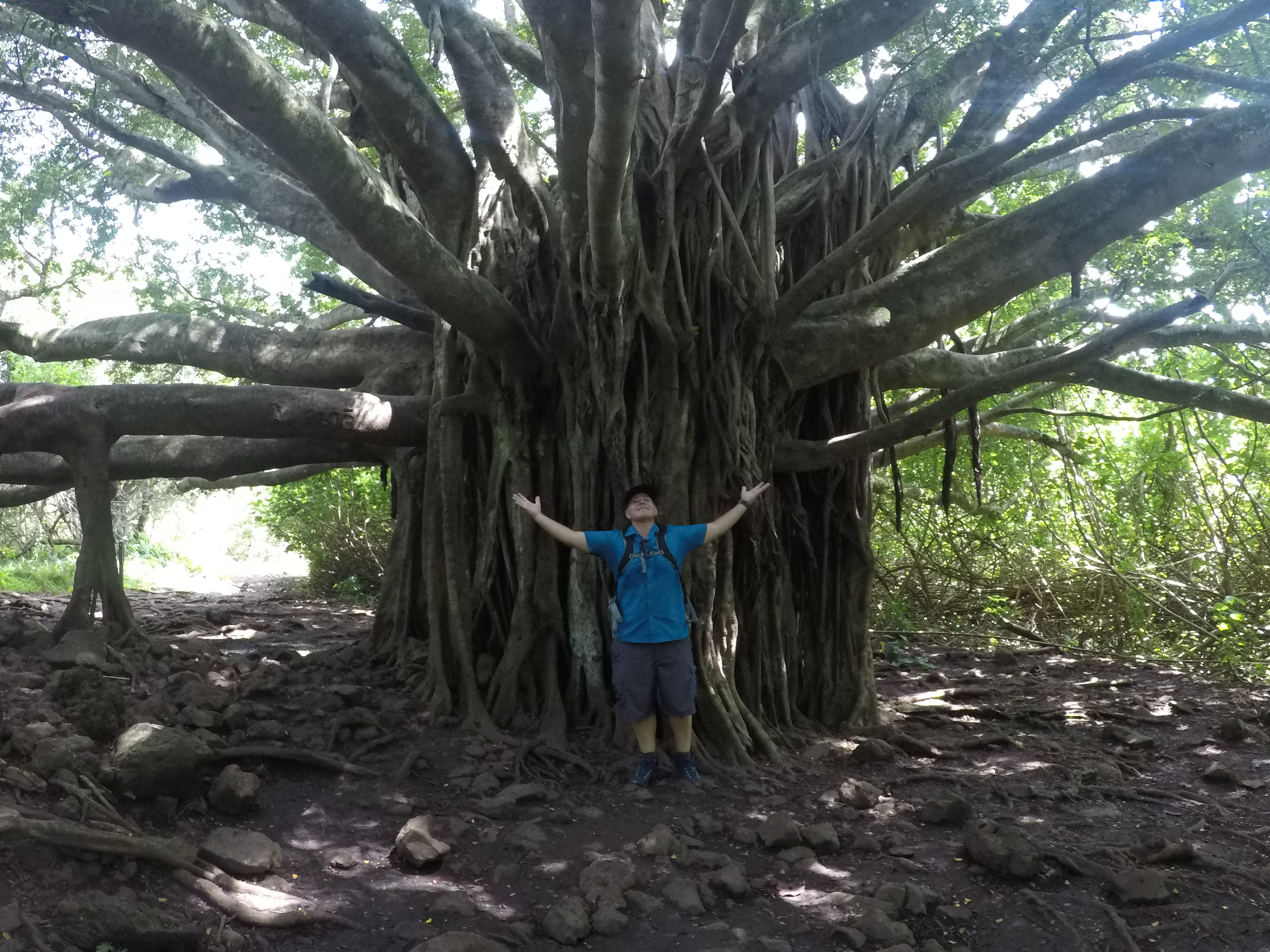Trail at Hana, HI