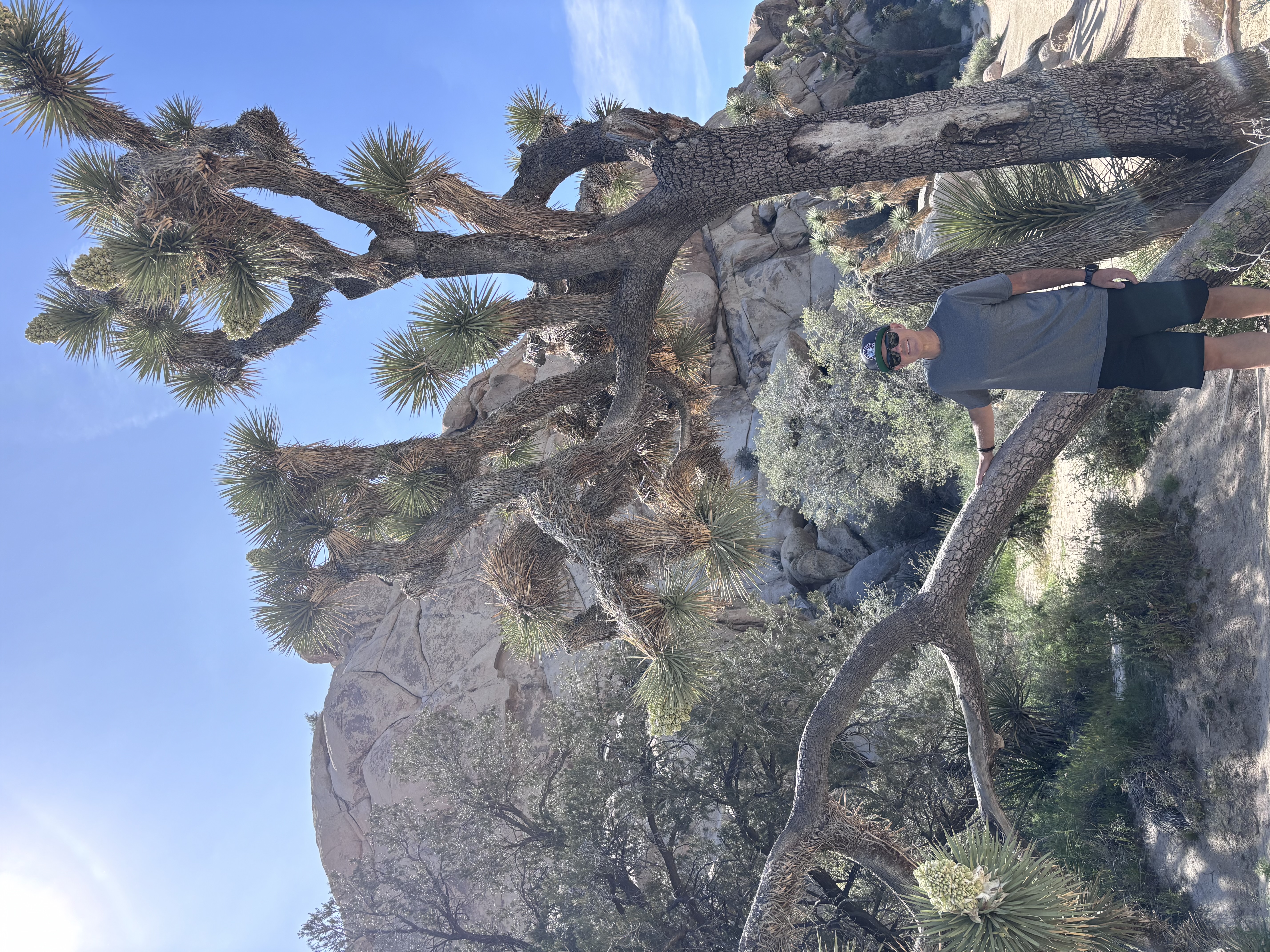 Trail at Joshua Tree, CA